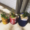 planter bags