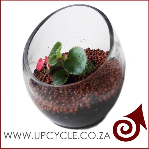 Upcycle Clear Glass Planter