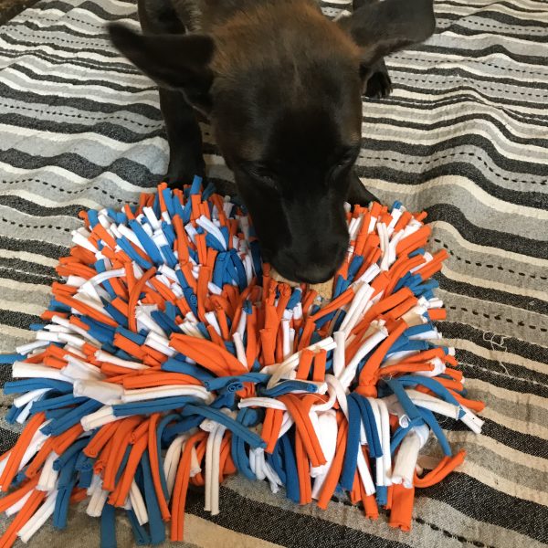 Dog training snuffle matt from t-shirts - Image 4