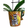 Upcycle creative chip packet planter bag