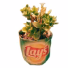 chip packet planter bag
